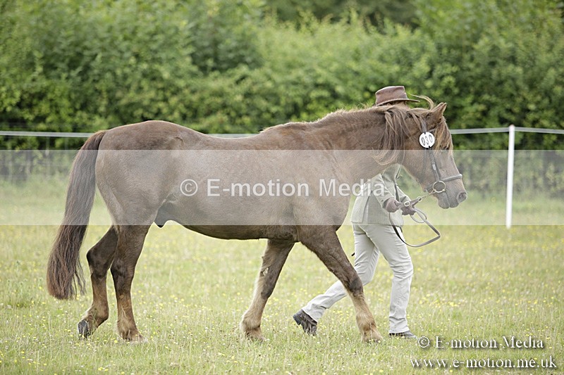 BVR160717-728 - Ring 2 BVRC Show 16/07/17