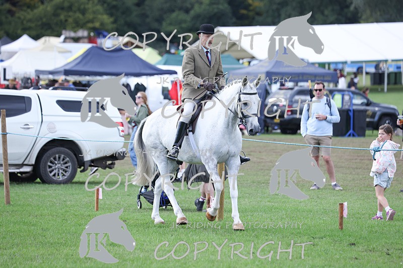 APP_4154 - Class 15a/b Pony club pony/Riding club horse