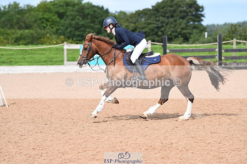 230716A-102424-02005 - Cls 35 Springboard 128cm & 138cm