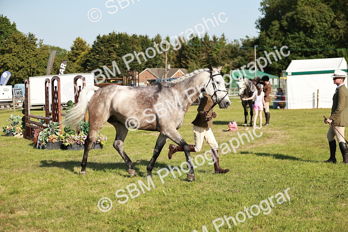 SBM_20038 - Class 115-116 - LIHS BSHA Rising Star Working Hunter & Show Horse