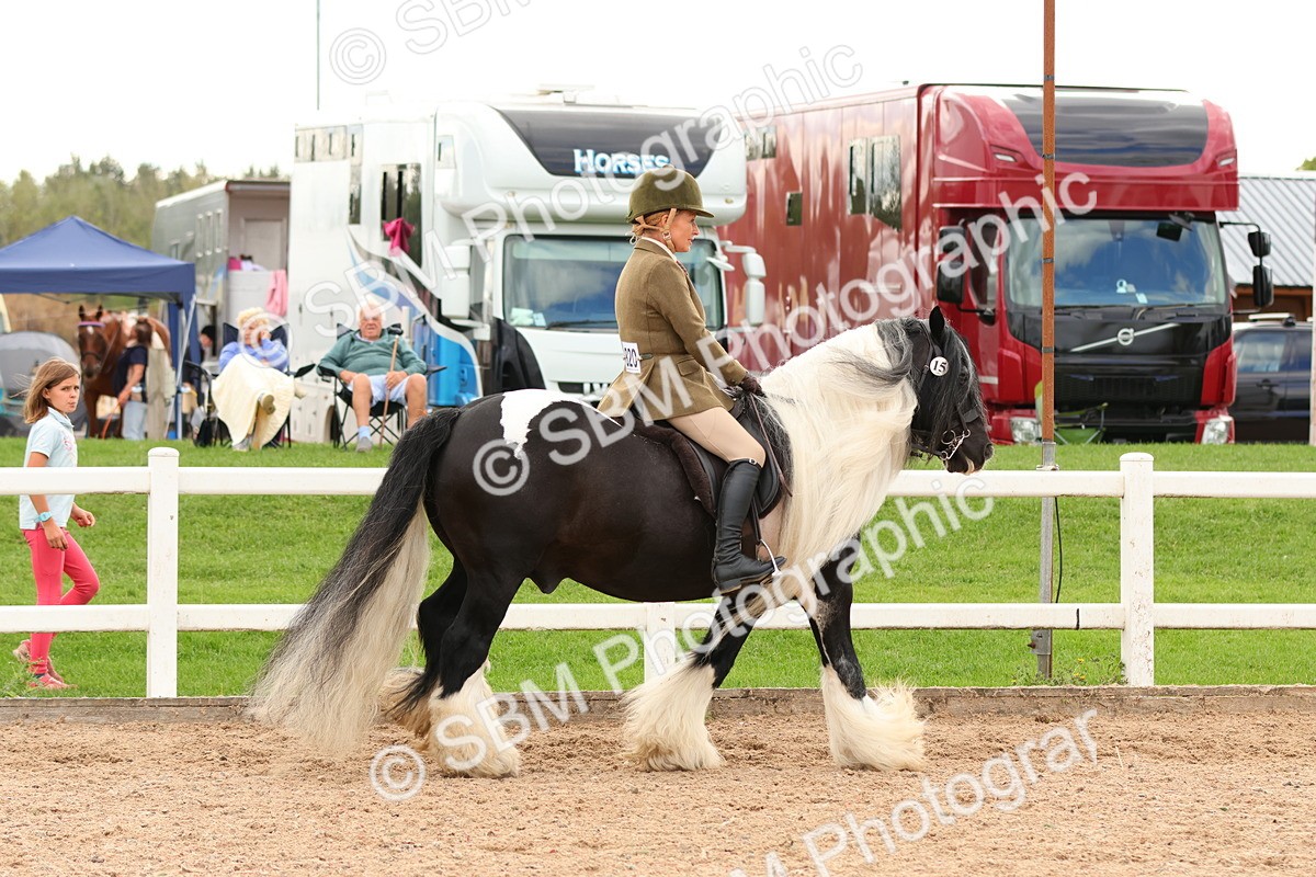 SBM_15633 - Class 215 - Ridden Traditional - Native Cobs