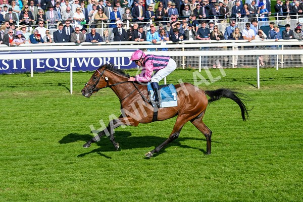 160525-Race 6-Bowmark-7184 - Race 6 4.55pm Darley EBF 'Confined' Novice Stakes