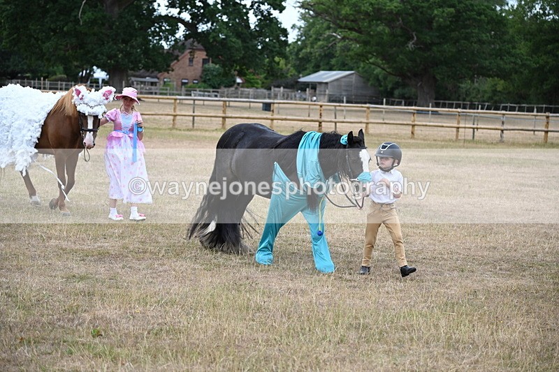 WJ6_8682 - Class 11 Fancy Dress