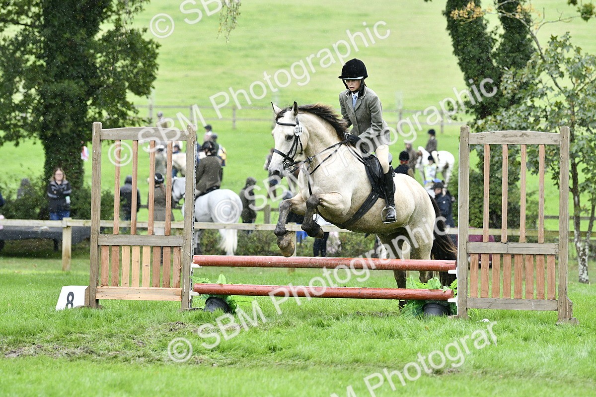 SBM_42304 - S32 - Mountain & Moorland Working Hunter Pony