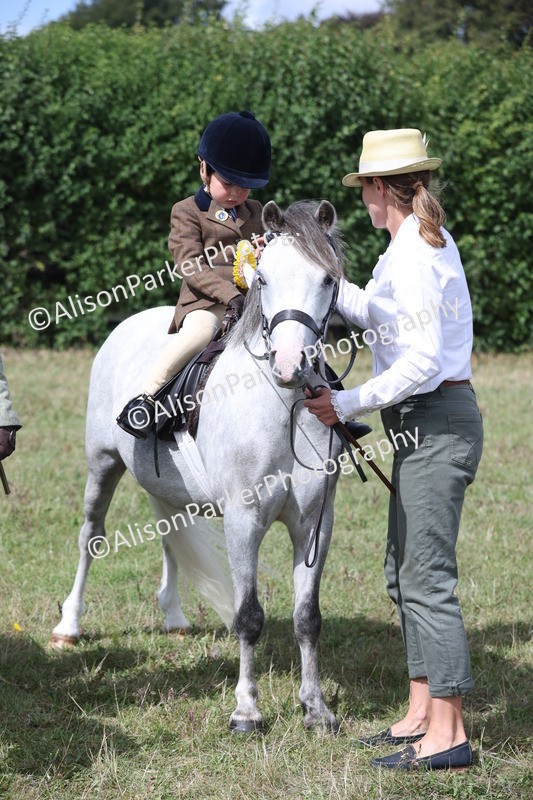 20250831-2747 - Class 17 - Lead Rein Pony