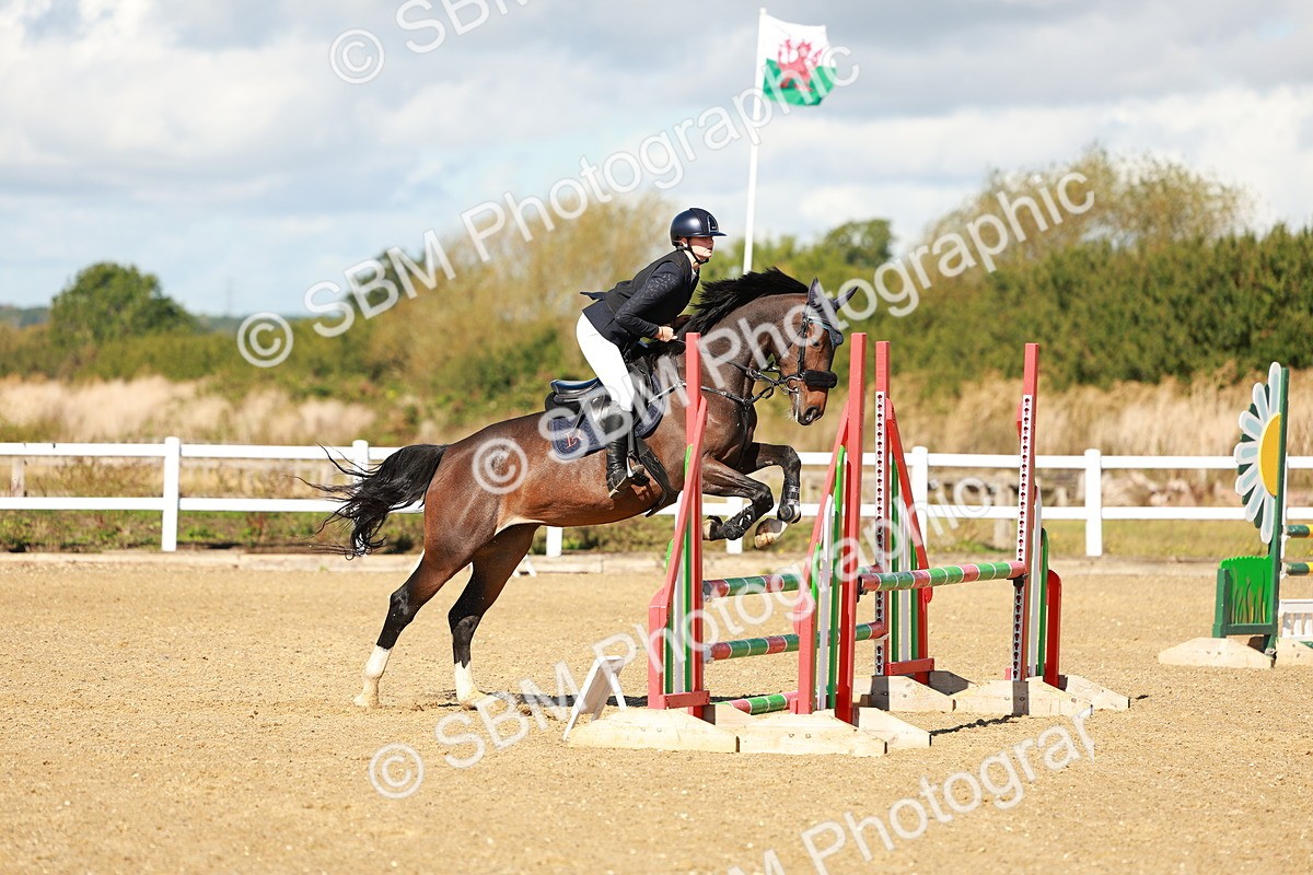 SBM_000530 - Class 2 - Senior British Novice - 90cm