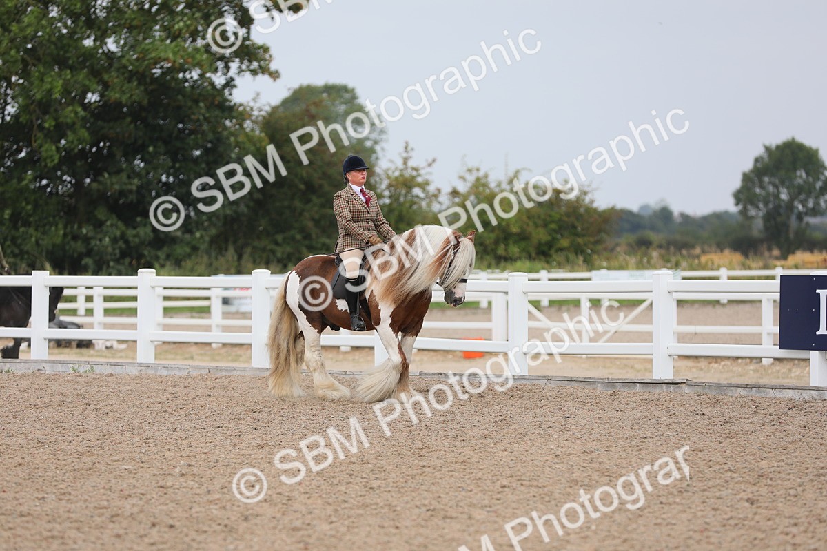 SBM_12667 - Class 307 Ridden Coloured Pony