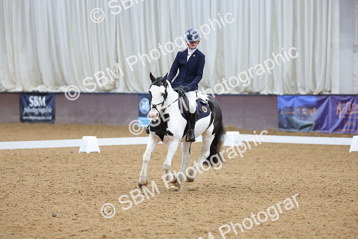 SBM_003080 - Novice
