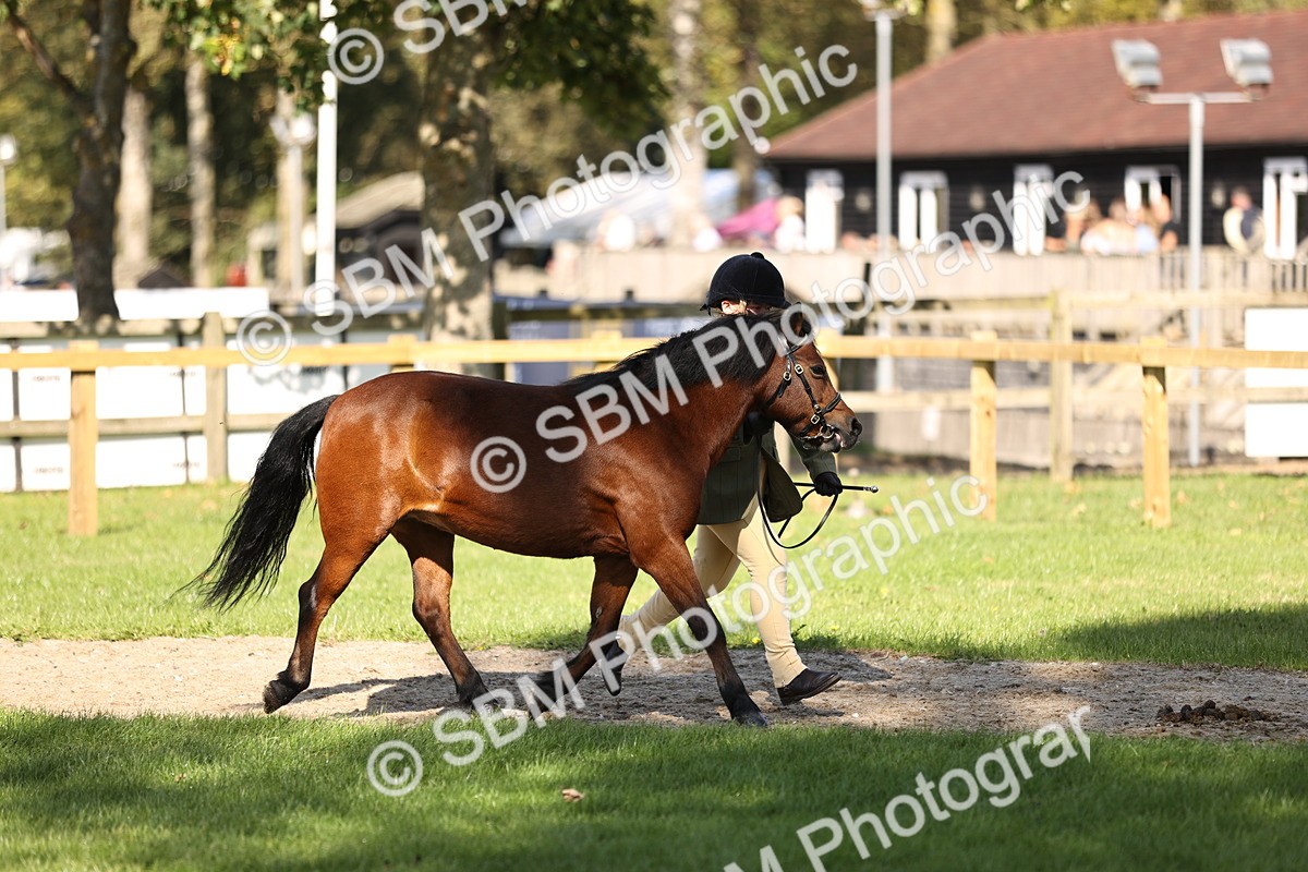 SBM_26136 - S5 - Novice & Newcomers In Hand