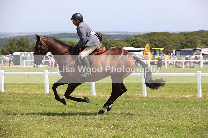 JPP_3284 - Class 22: Working Hunter 70cm