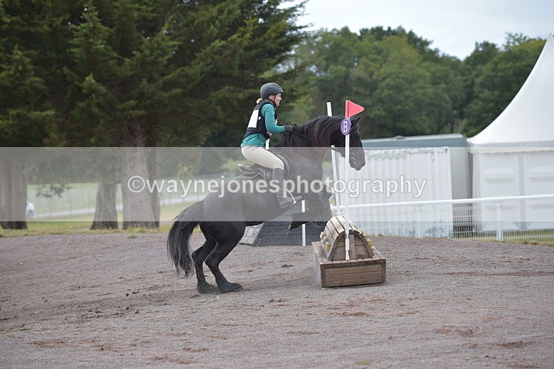 NGP_2826 - XC Time 11:37 to 11:57