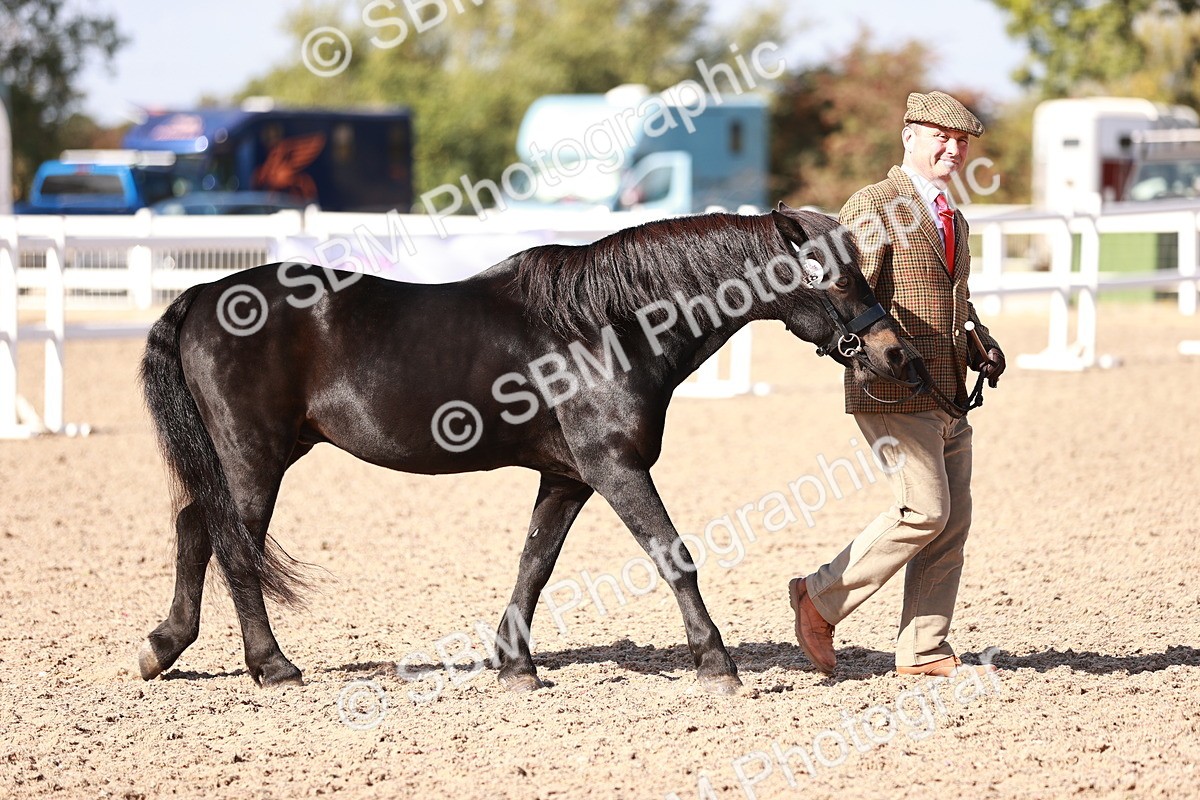 SBM_22757 - Class 705 - IH Combination 65+