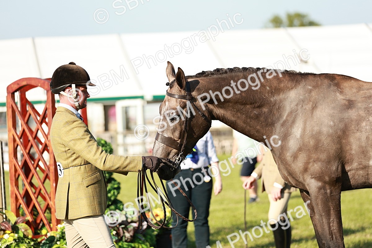 SBM_20165 - Class 117-119 - Sport Horse Working Hunter