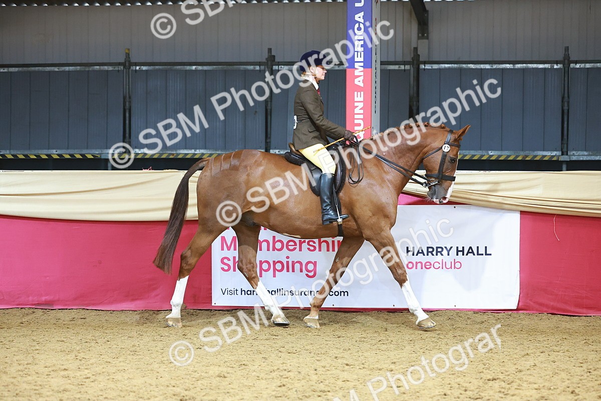 SBM_12422 - Class 103 - HOYS Veteran Qualifier - Ridden Pre Vet