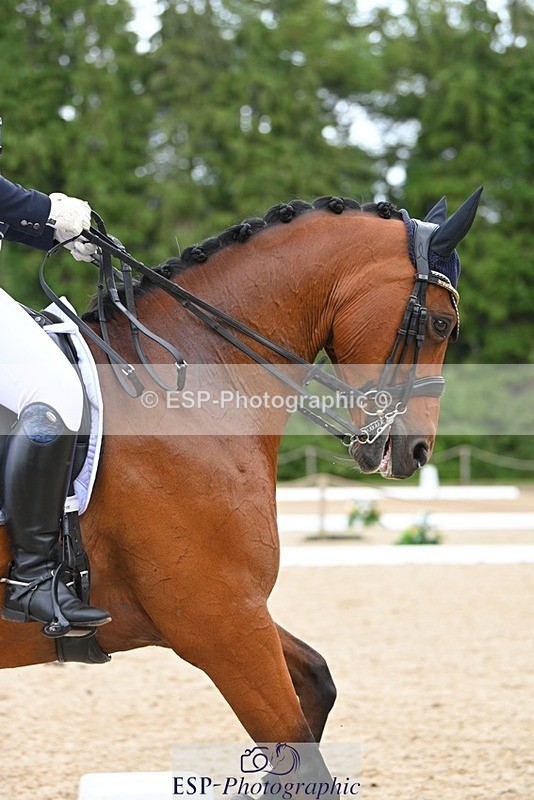 230813-132607-07564 - Cls 13 Medium Bronze 13.15 to End