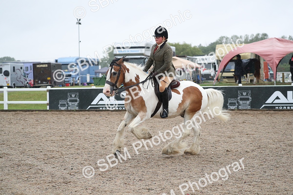 SBM_20462 - Class 601 - 2025 Area - Ridden Diamond