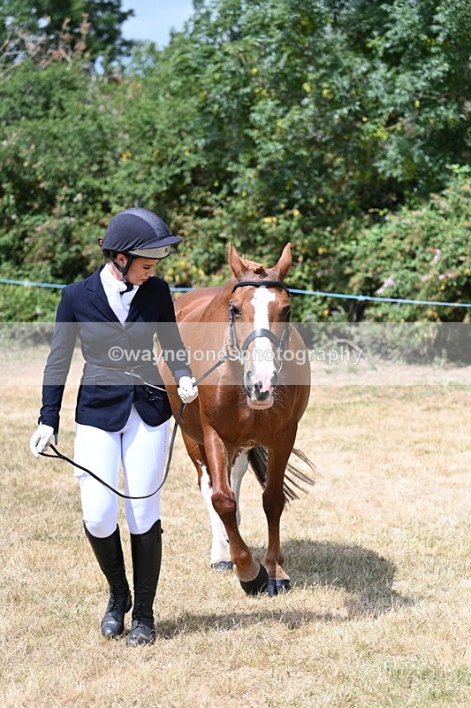 WJ7_1950 - Class 4a Prettiest Mare 14.2hh and over hand