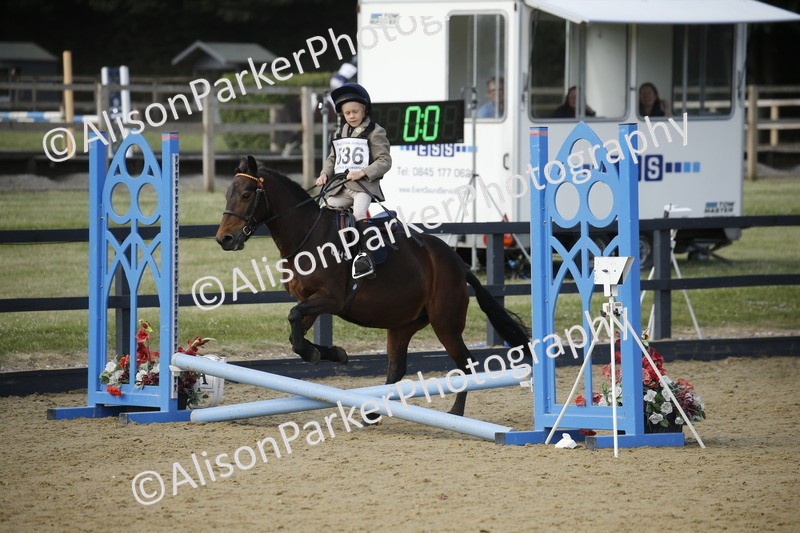 20250622-1601 - 40cm