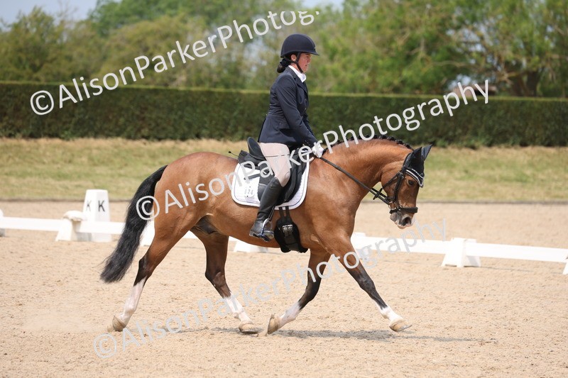 20250604-0545 - Class 3 - Novice 5