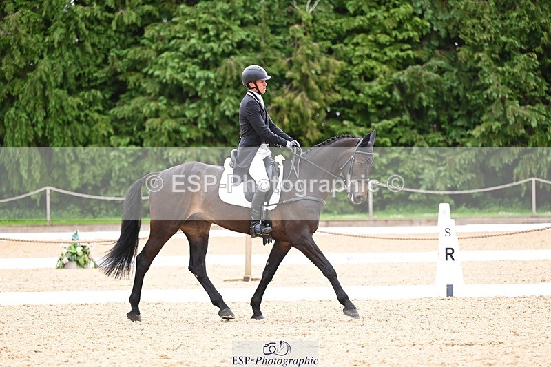 240524-093612-07911 - 507-DASSETT_ROCK_STAR-Tom_D_Crisp