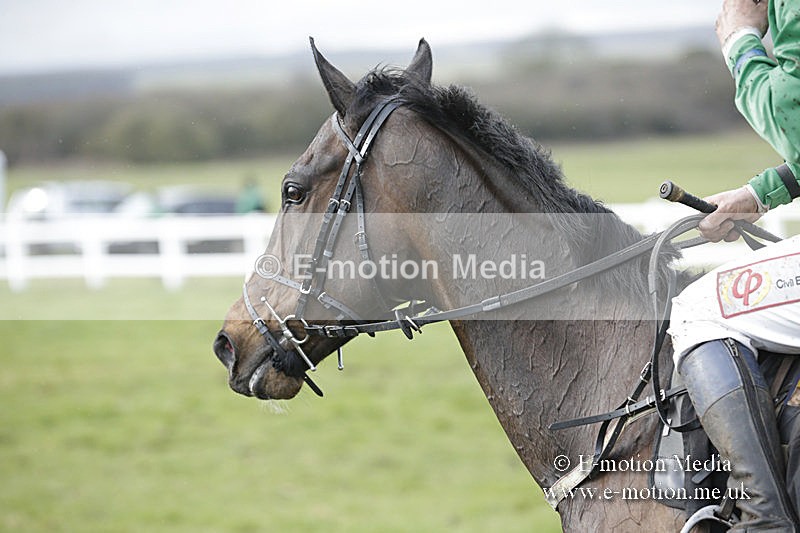 PtP 150320 0447 - New Forest Point-to-Point Larkhill 15/03/20