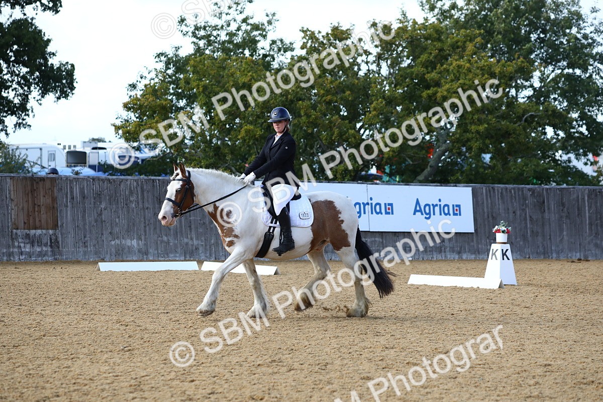 SBM_26657 - D11 - Small Tour Championship Prelim 1