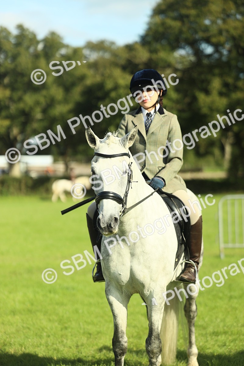 SBM_49845 - S32 - Novice & Newcomers Working Hunter