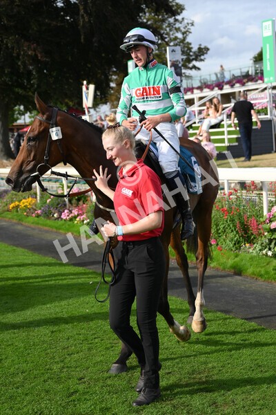 yr04092022r6-52 - Race 6 4.40pm Hanson Springs Stakes
