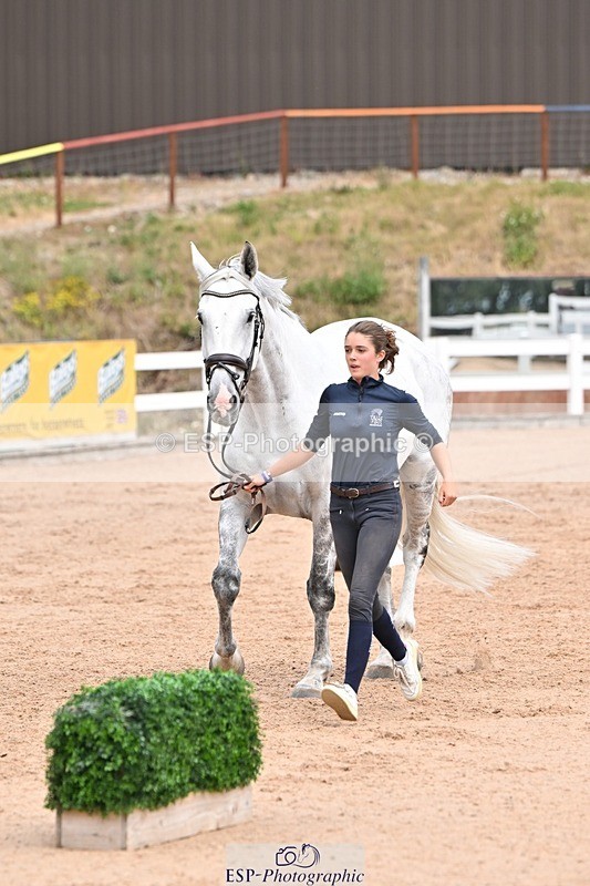 250716-142952-01125 - Trot Up 1.30 to 2.30