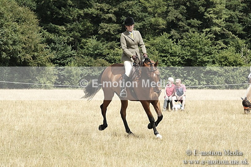 _PJP6012 - BVRC Show 2018 Ring 1