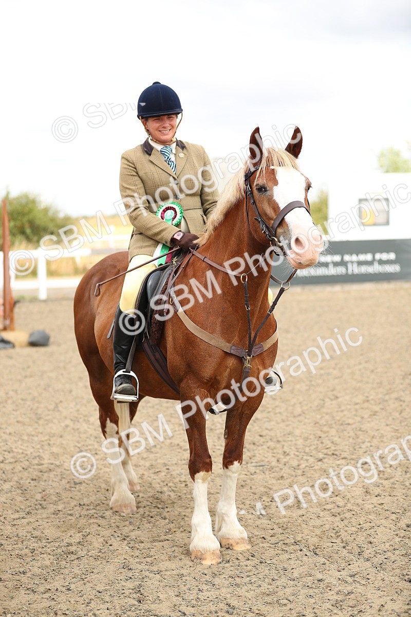 SBM_04808 - Class 46b Style & Performance 50cm (20+)