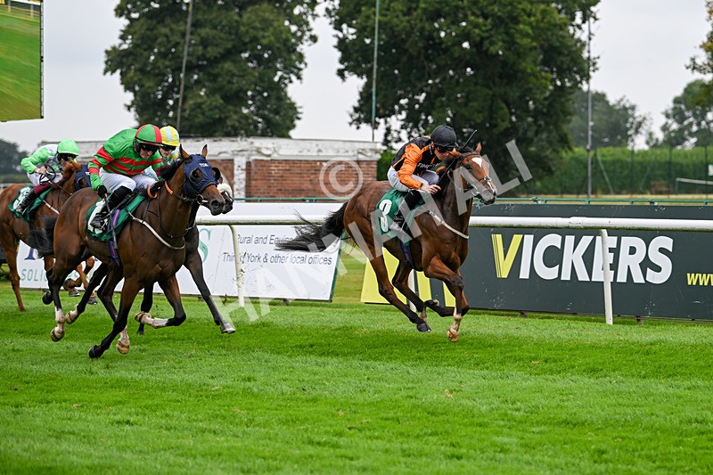 070924-Race 2-Cymbidium-7155 - Race 2