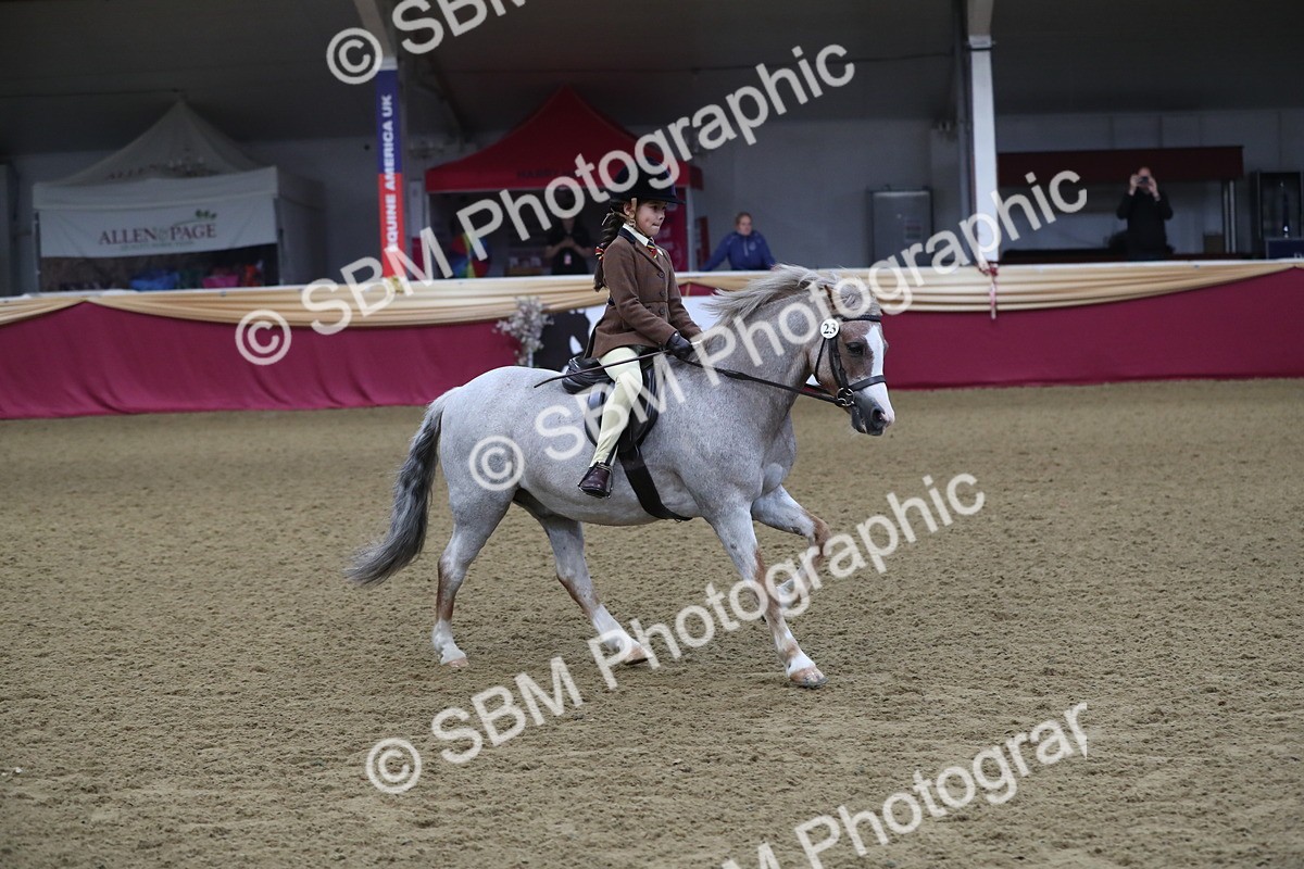 SBM_09349 - Class 101 Equitation (best rider), Junior