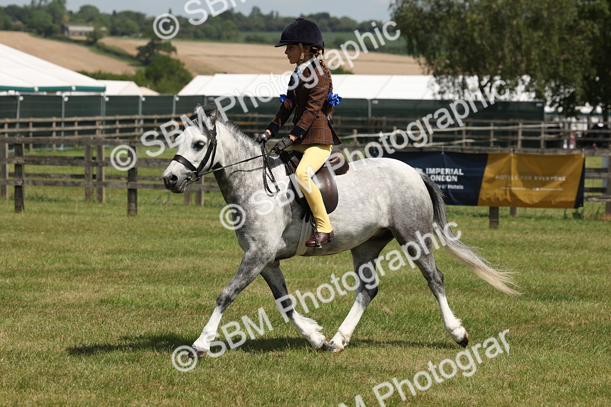SBM_05355