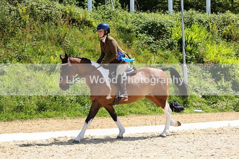1X9A1931 - Class 12: Ridden Riding Horse/Hack
