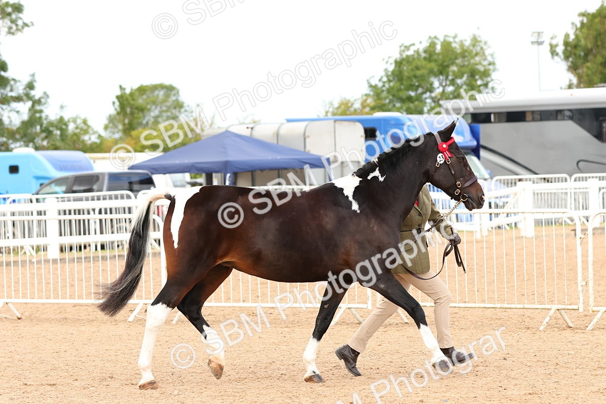 SBM_11939 - Class 209 - IH Veteran Pony