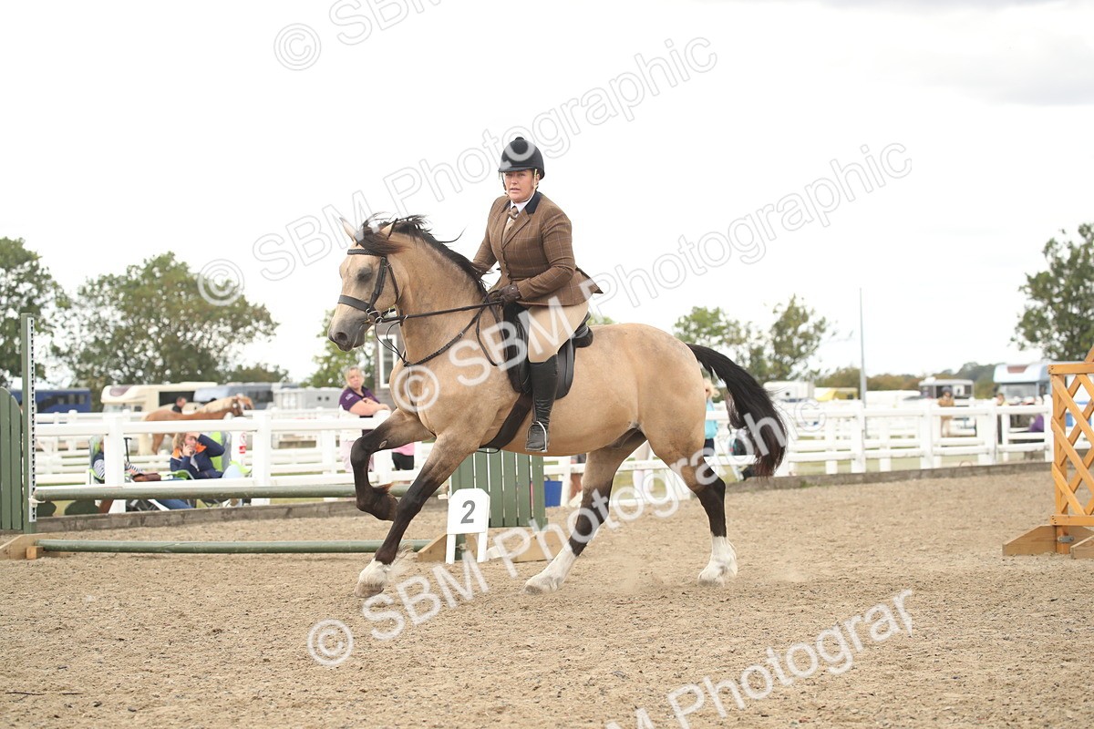 SBM_16677 - Class 507a - Working Veteran - 60cm (15-19)