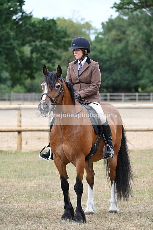 WJ7_0663 - Class 6 Ridden Mountain and Moorland