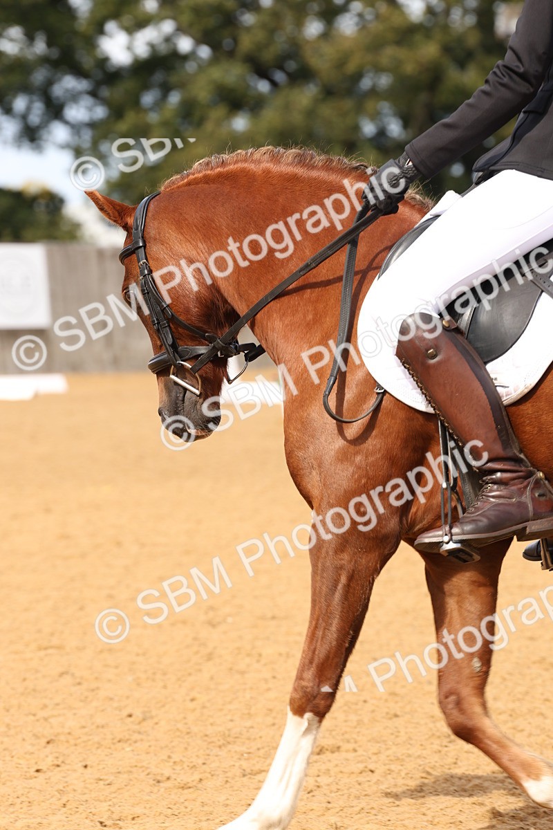 SBM_20261 - D10 - Small Tour Championship Prelim 2