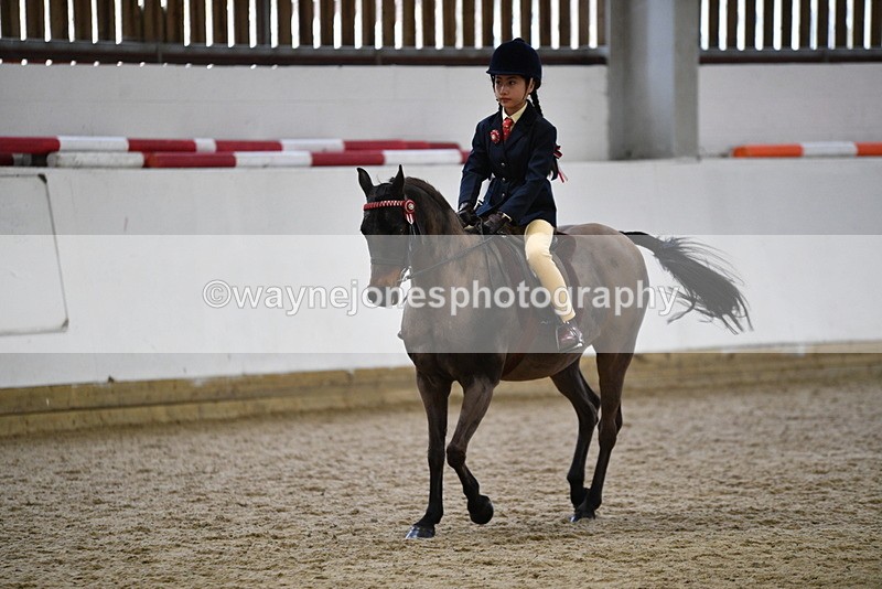 WJ5_6935 - Class 10 Childs Pony