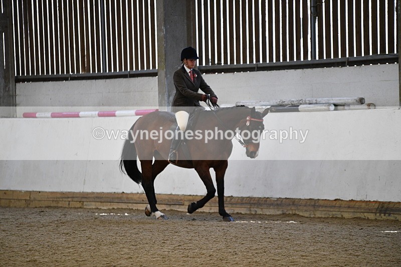 WJ5_5945 - Class 9 Ridden Veteran