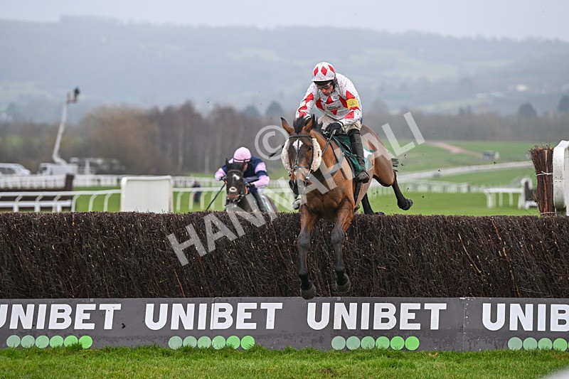 131224-Race 4-Ballygrifincottage-9179 - Race 4