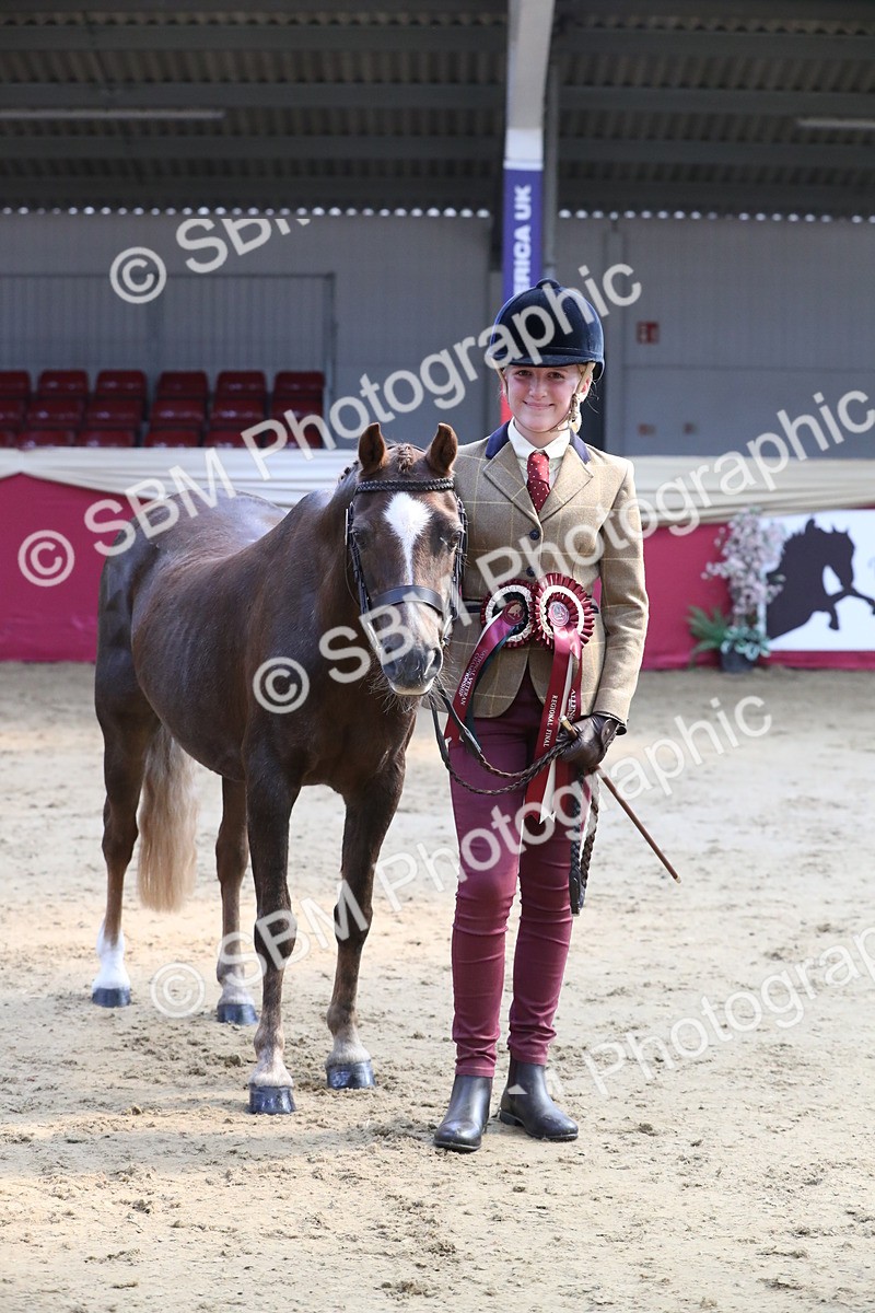 SBM_04477 - Class 7R Regional - IH Diamond