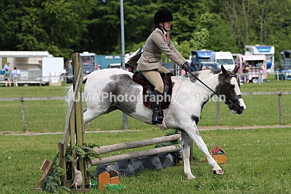 IMG_3248 - Working Hunter
