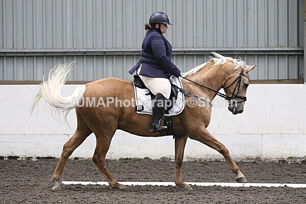 SIAL5488 - CAbin Dressage 5th july 2025