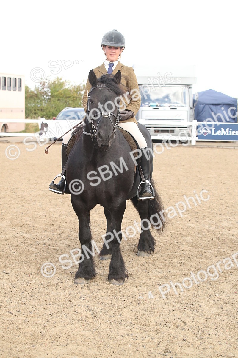 SBM_14585