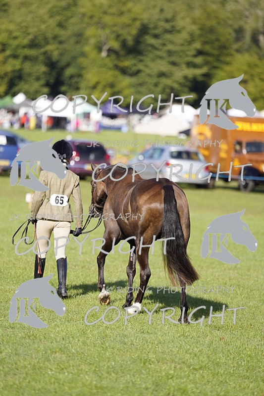 _DSC9512 - Class 8 & 17 Ridden Hunter & Ridden Hunter Pony