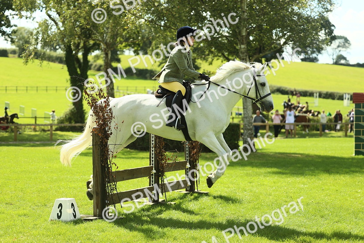 SBM_44540 - S30 - M&M Working hunter Pony