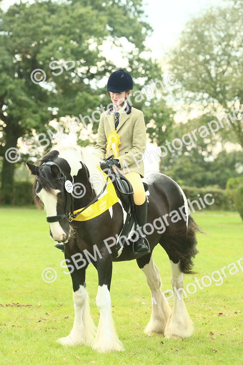 SBM_75084 - Ridden Pony Supreme Championship