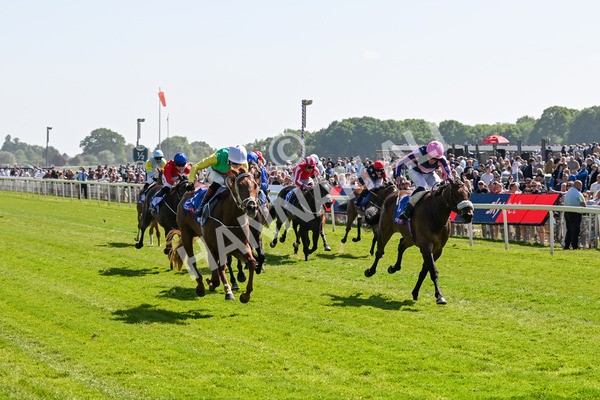 160525-Race 3-Kon Tiki-6432 - Race 3 3.13pm Sky Bet Fillies' Stakes